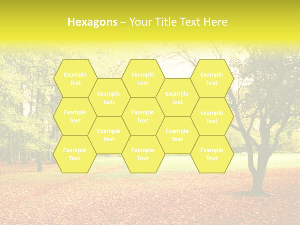 Outdoor Tree Park PowerPoint Template