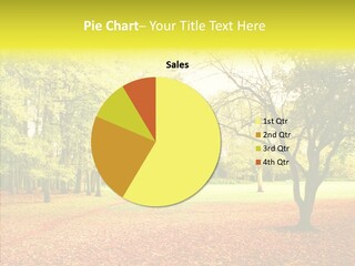 Outdoor Tree Park PowerPoint Template