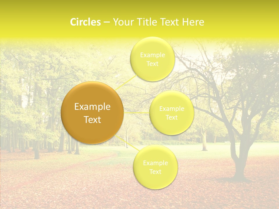 Outdoor Tree Park PowerPoint Template