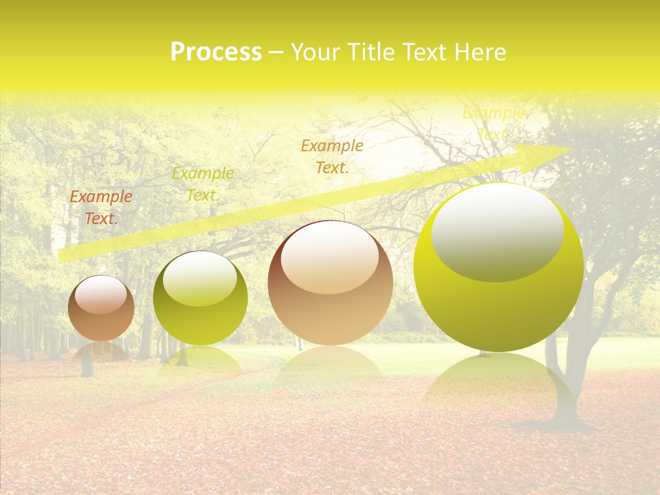 Outdoor Tree Park PowerPoint Template