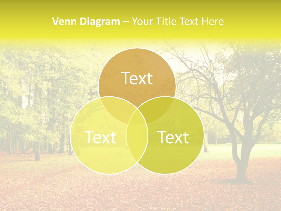 Outdoor Tree Park PowerPoint Template