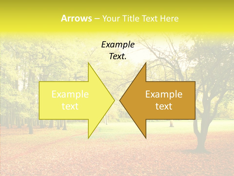 Outdoor Tree Park PowerPoint Template