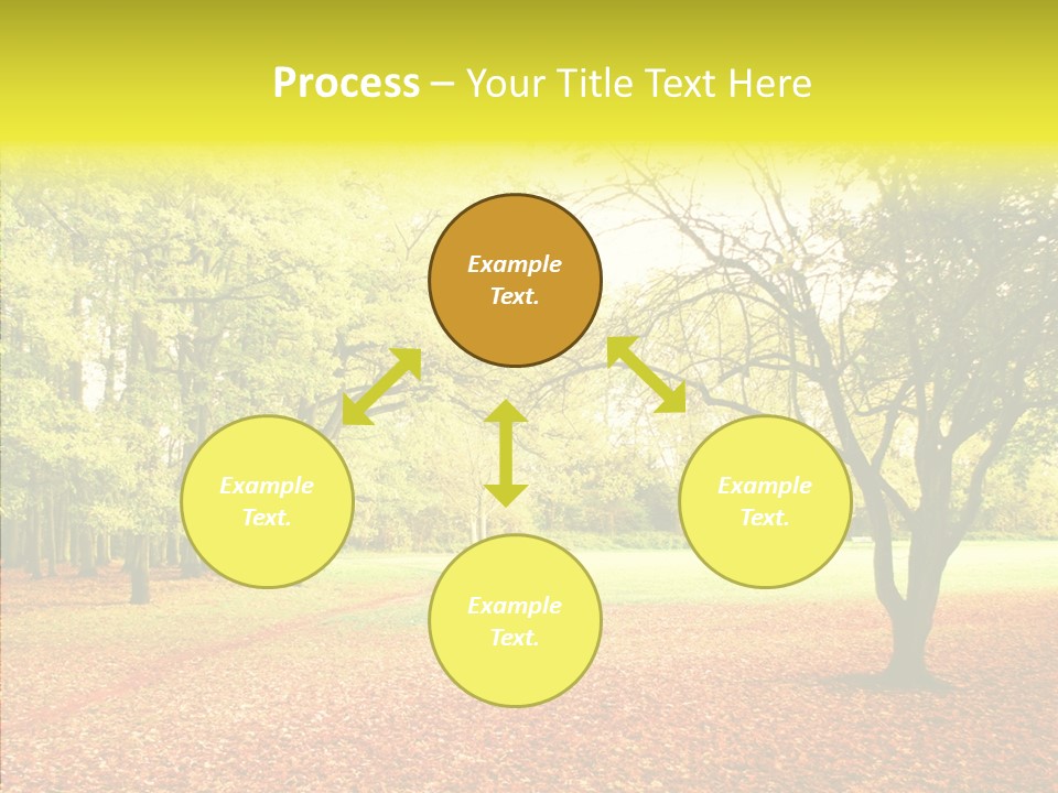 Outdoor Tree Park PowerPoint Template