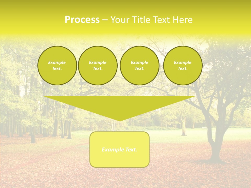 Outdoor Tree Park PowerPoint Template