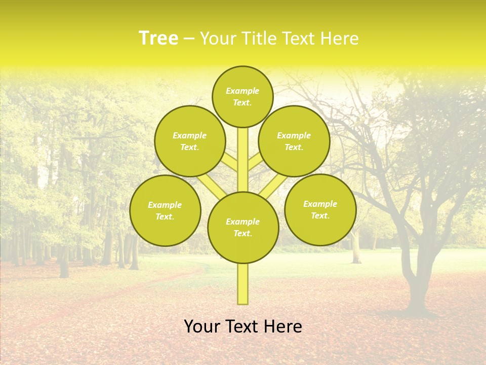 Outdoor Tree Park PowerPoint Template
