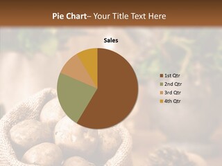 Spuds Setting Mint PowerPoint Template