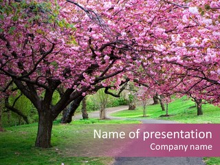 Blooming Outdoors Seasonal PowerPoint Template