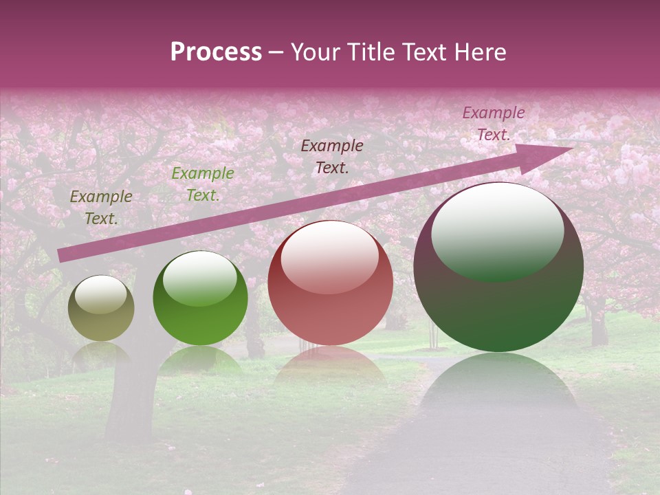 Blooming Outdoors Seasonal PowerPoint Template