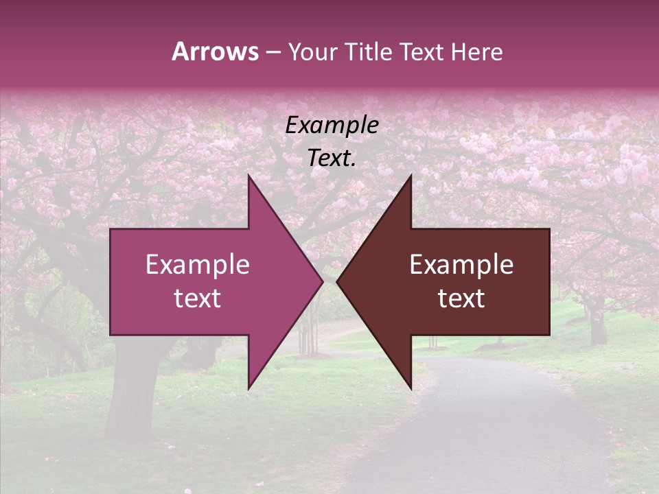 Blooming Outdoors Seasonal PowerPoint Template
