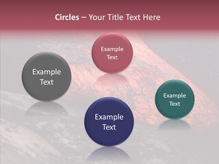 Ocean Evening Attraction PowerPoint Template