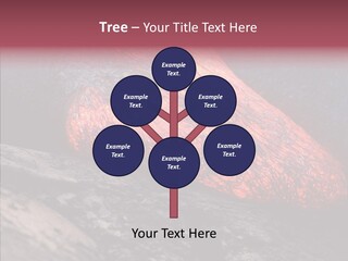 Ocean Evening Attraction PowerPoint Template