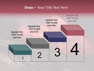 Ocean Evening Attraction PowerPoint Template