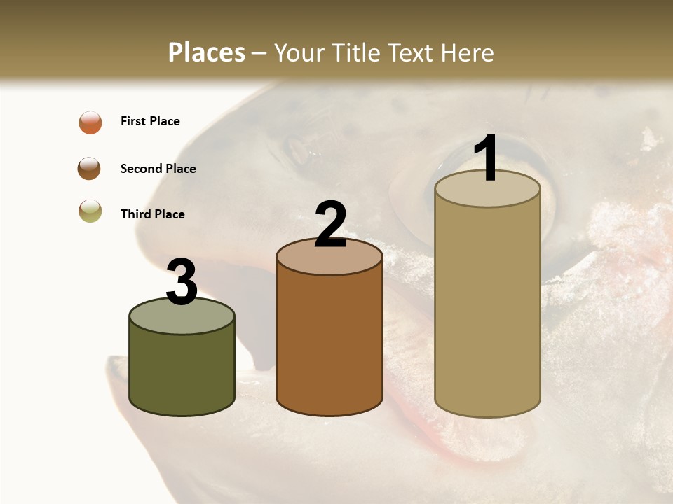 Nutrition Meat Fin PowerPoint Template