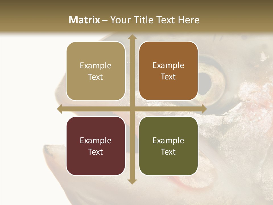 Nutrition Meat Fin PowerPoint Template