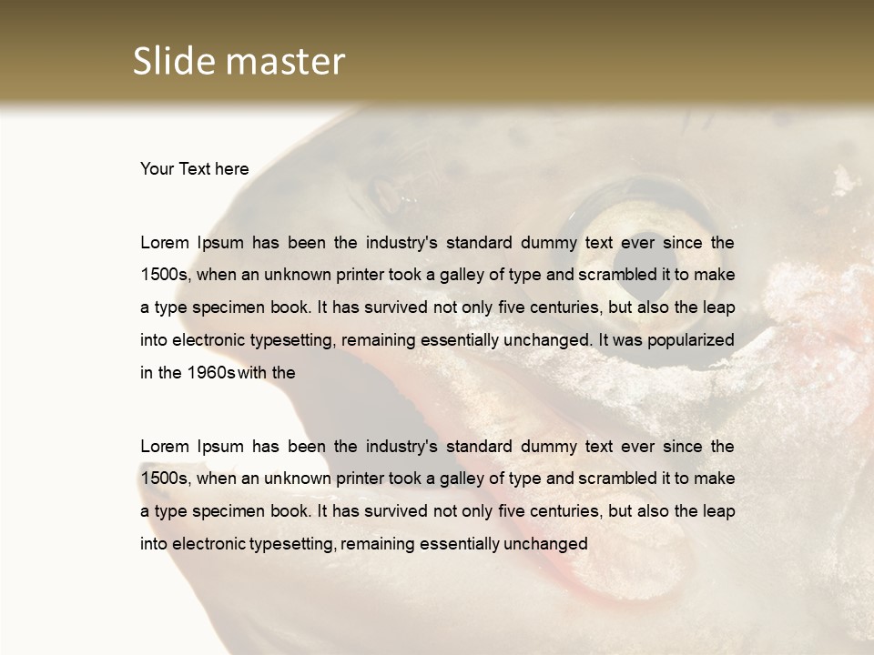 Nutrition Meat Fin PowerPoint Template