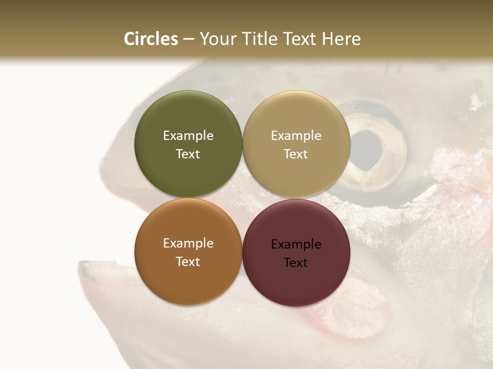 Nutrition Meat Fin PowerPoint Template