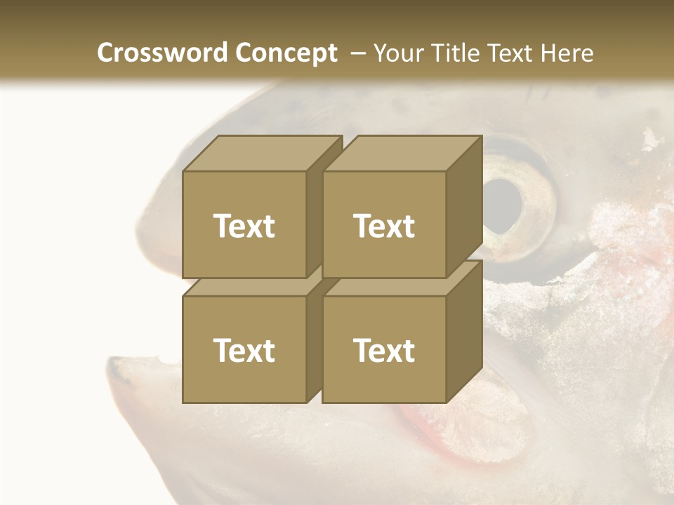 Nutrition Meat Fin PowerPoint Template