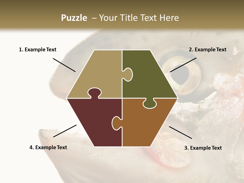 Nutrition Meat Fin PowerPoint Template