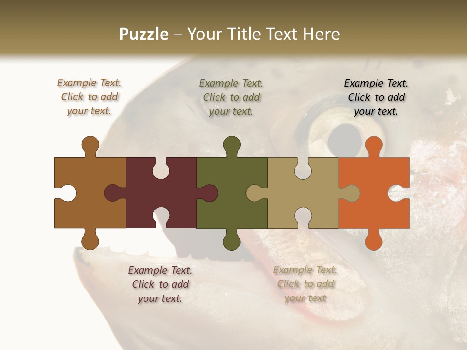 Nutrition Meat Fin PowerPoint Template