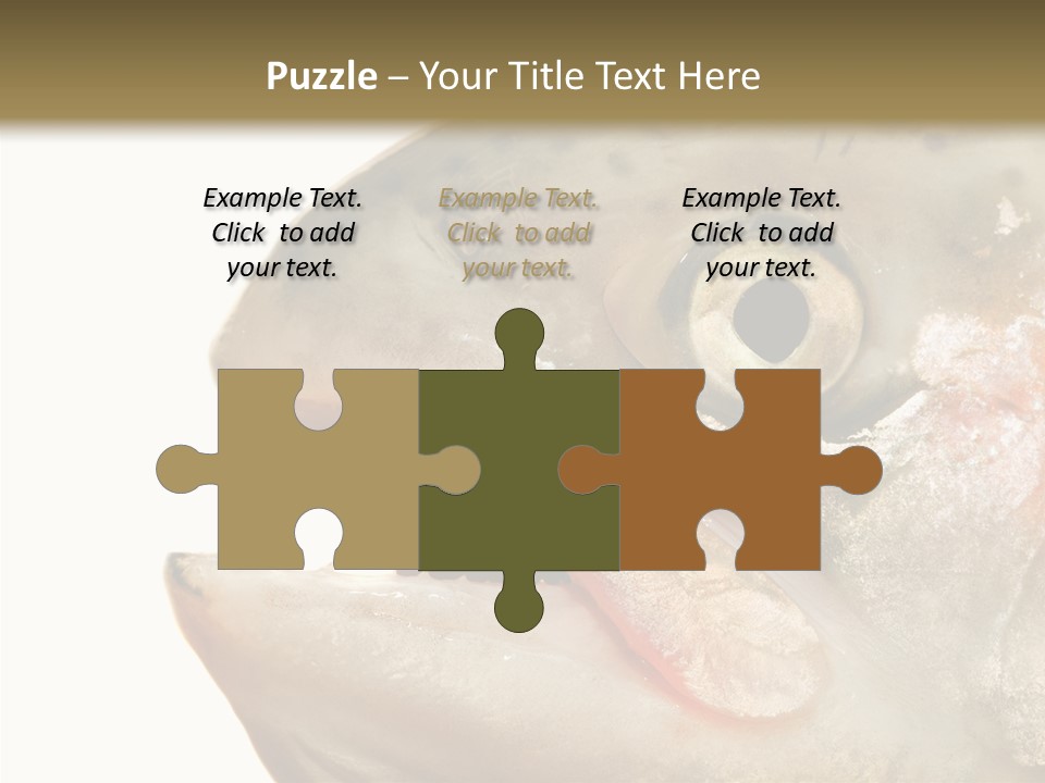 Nutrition Meat Fin PowerPoint Template