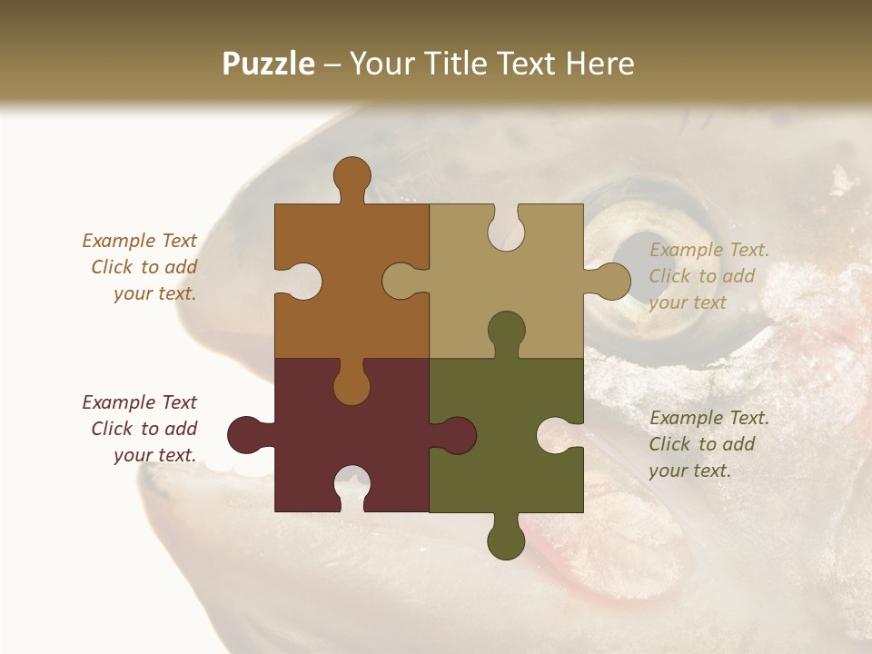 Nutrition Meat Fin PowerPoint Template