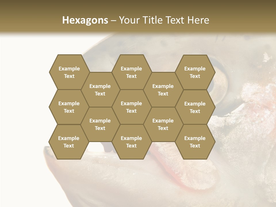 Nutrition Meat Fin PowerPoint Template