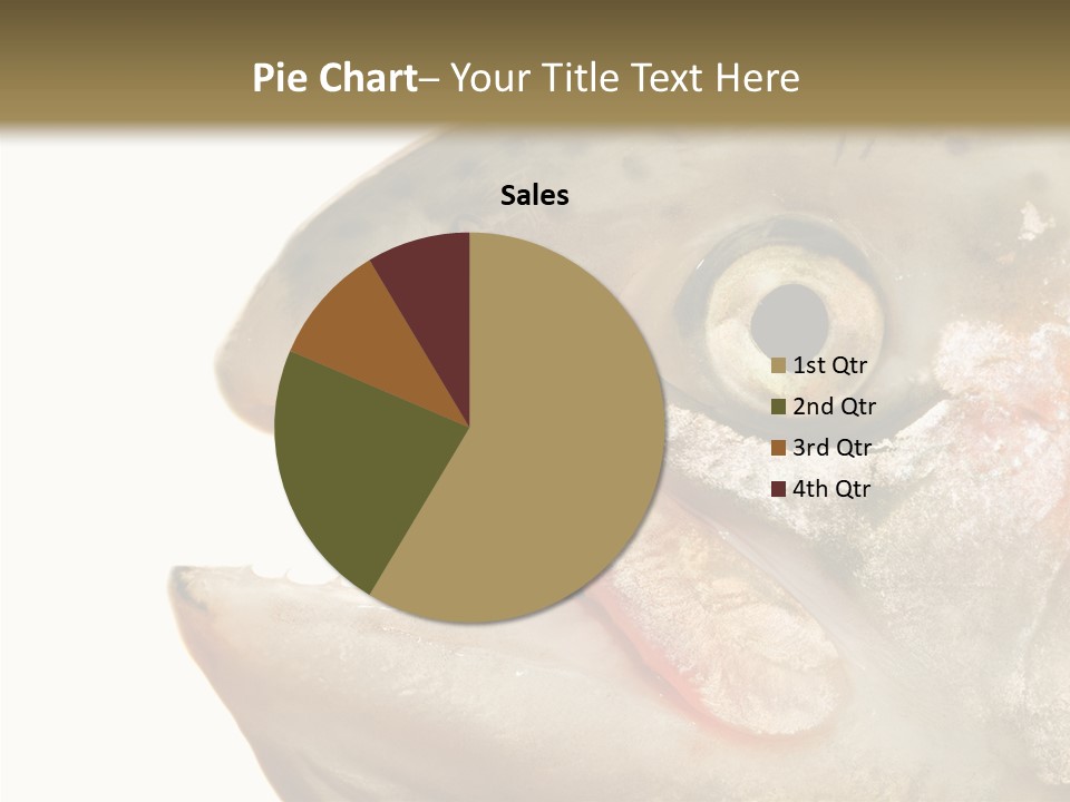 Nutrition Meat Fin PowerPoint Template