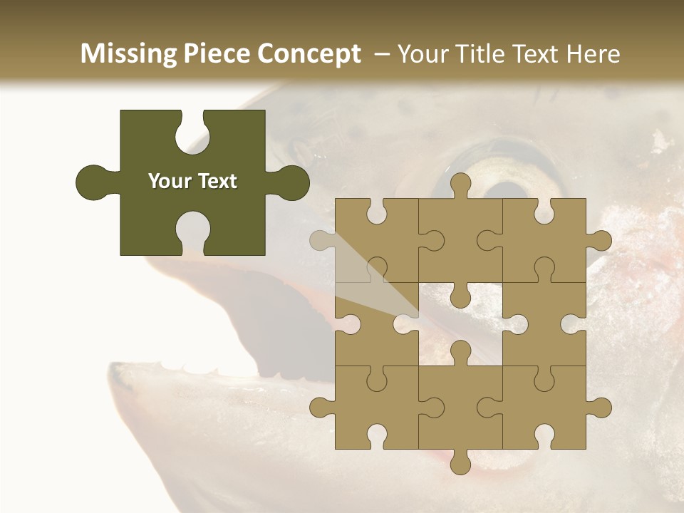 Nutrition Meat Fin PowerPoint Template