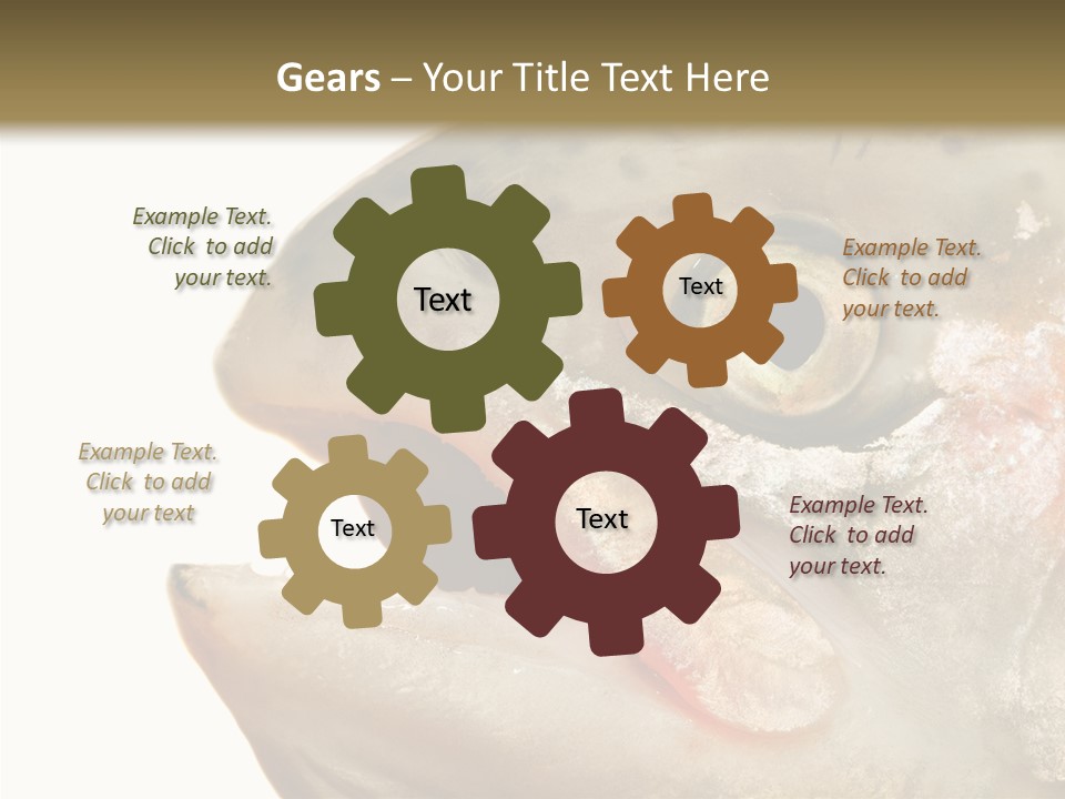 Nutrition Meat Fin PowerPoint Template