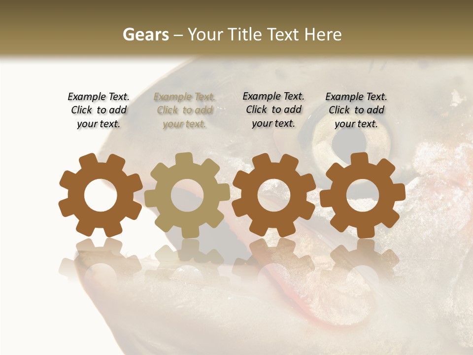 Nutrition Meat Fin PowerPoint Template