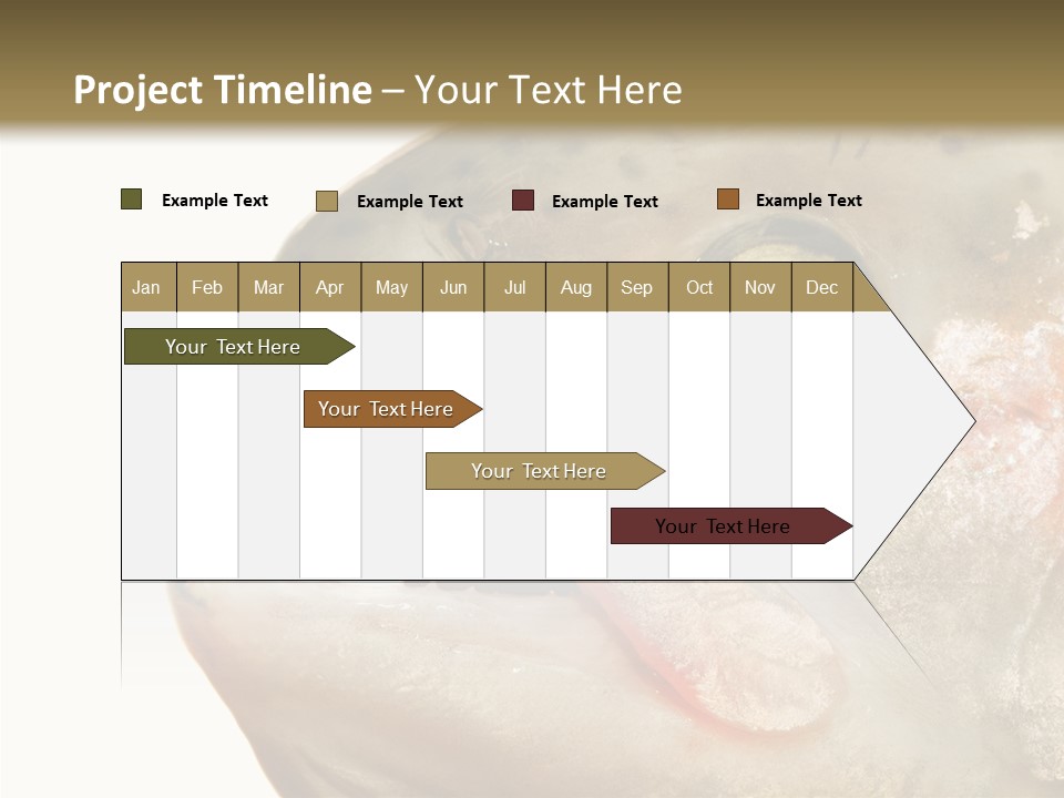 Nutrition Meat Fin PowerPoint Template