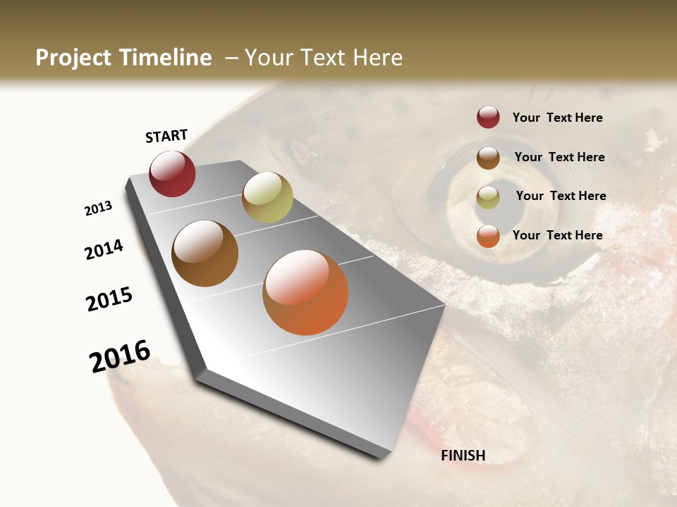 Nutrition Meat Fin PowerPoint Template