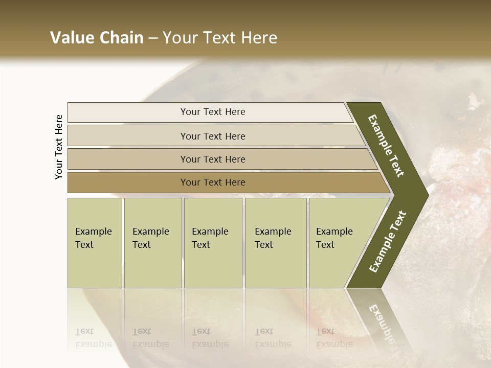 Nutrition Meat Fin PowerPoint Template