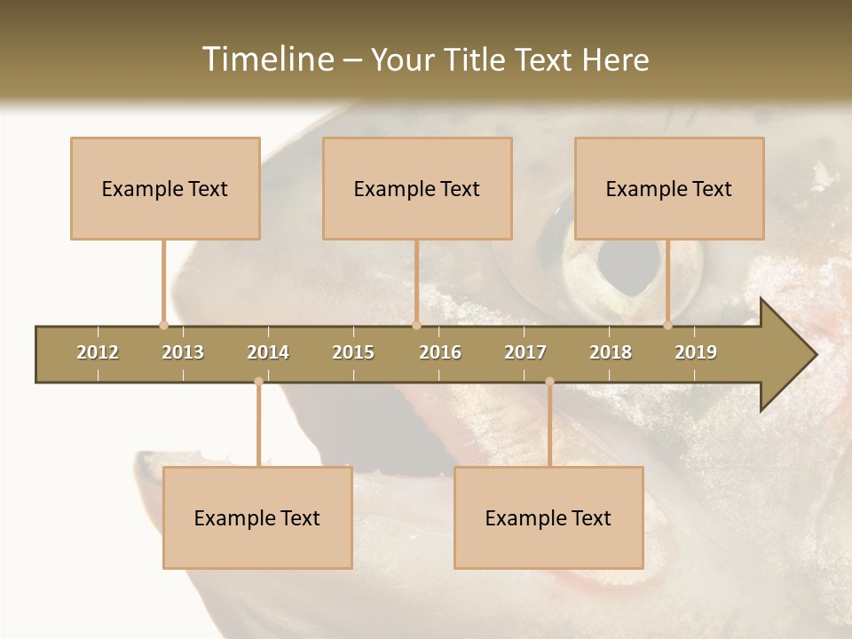 Nutrition Meat Fin PowerPoint Template