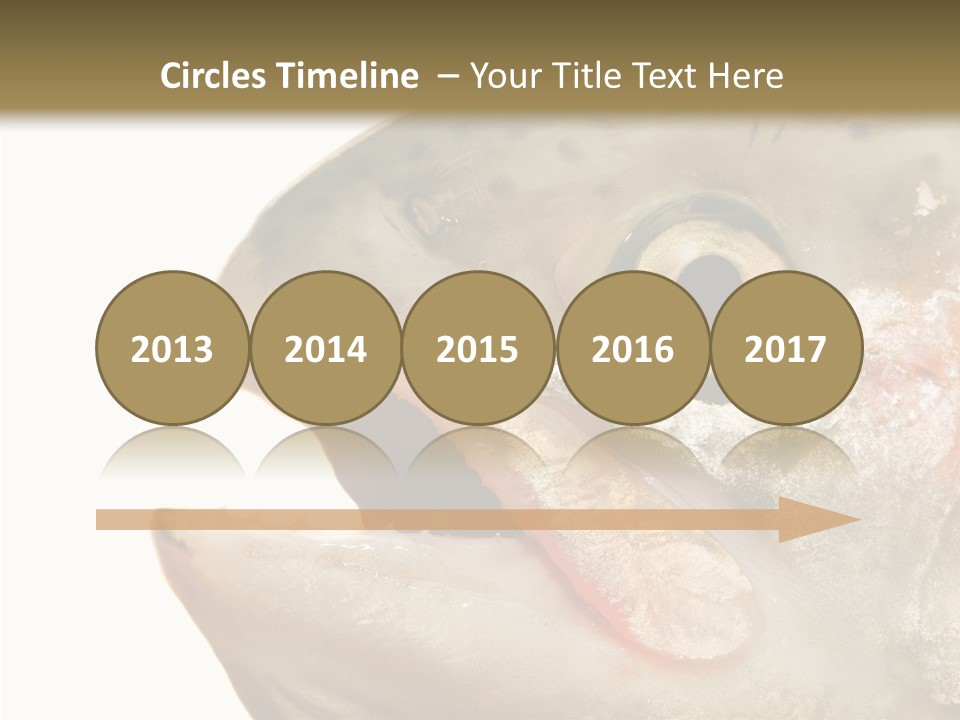 Nutrition Meat Fin PowerPoint Template