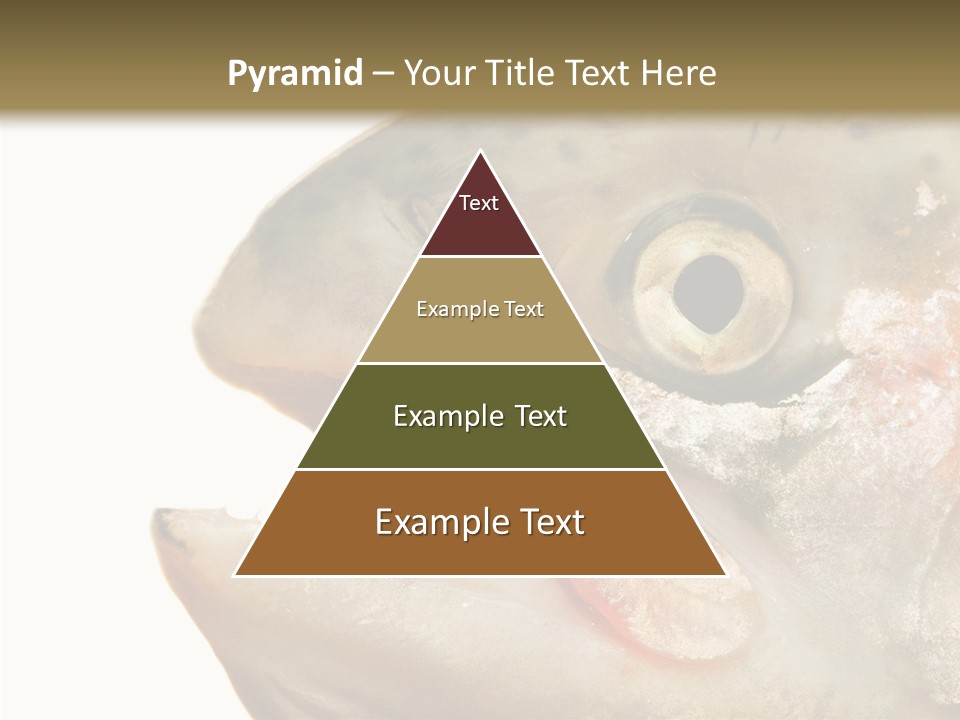 Nutrition Meat Fin PowerPoint Template