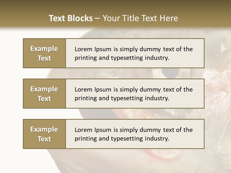 Nutrition Meat Fin PowerPoint Template