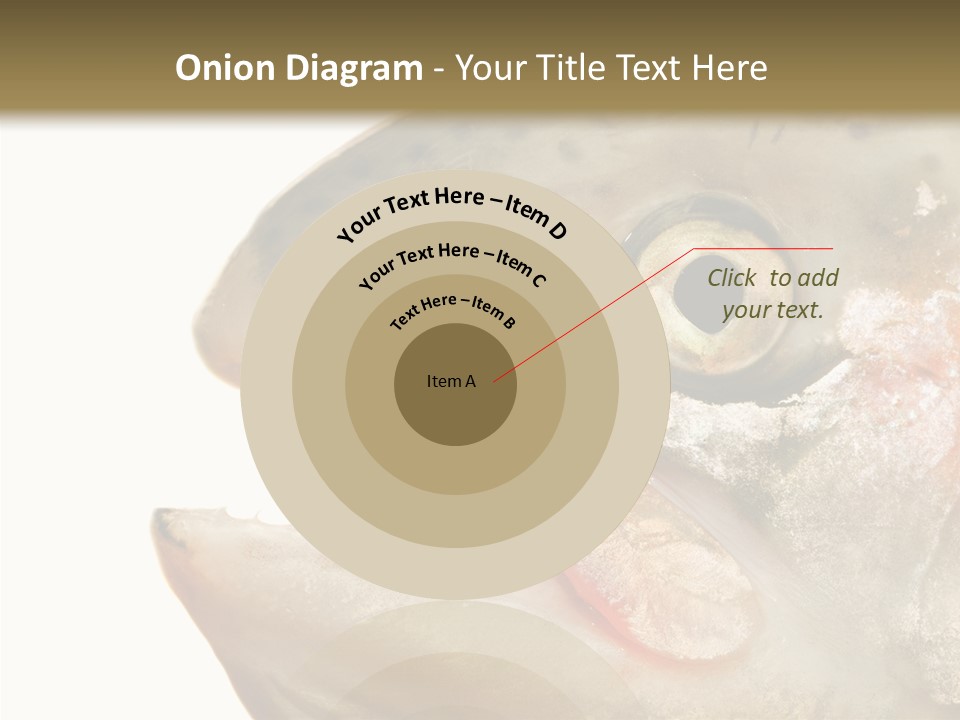 Nutrition Meat Fin PowerPoint Template