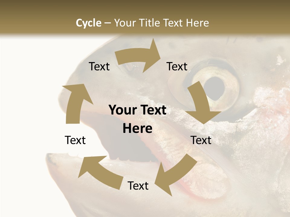 Nutrition Meat Fin PowerPoint Template