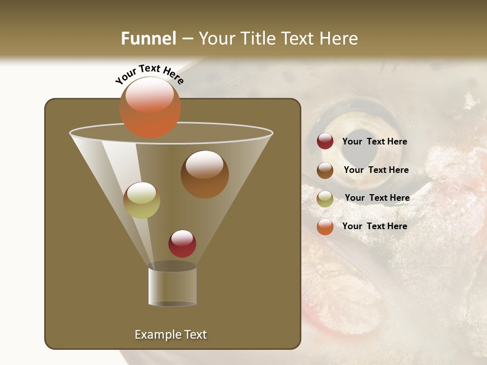 Nutrition Meat Fin PowerPoint Template