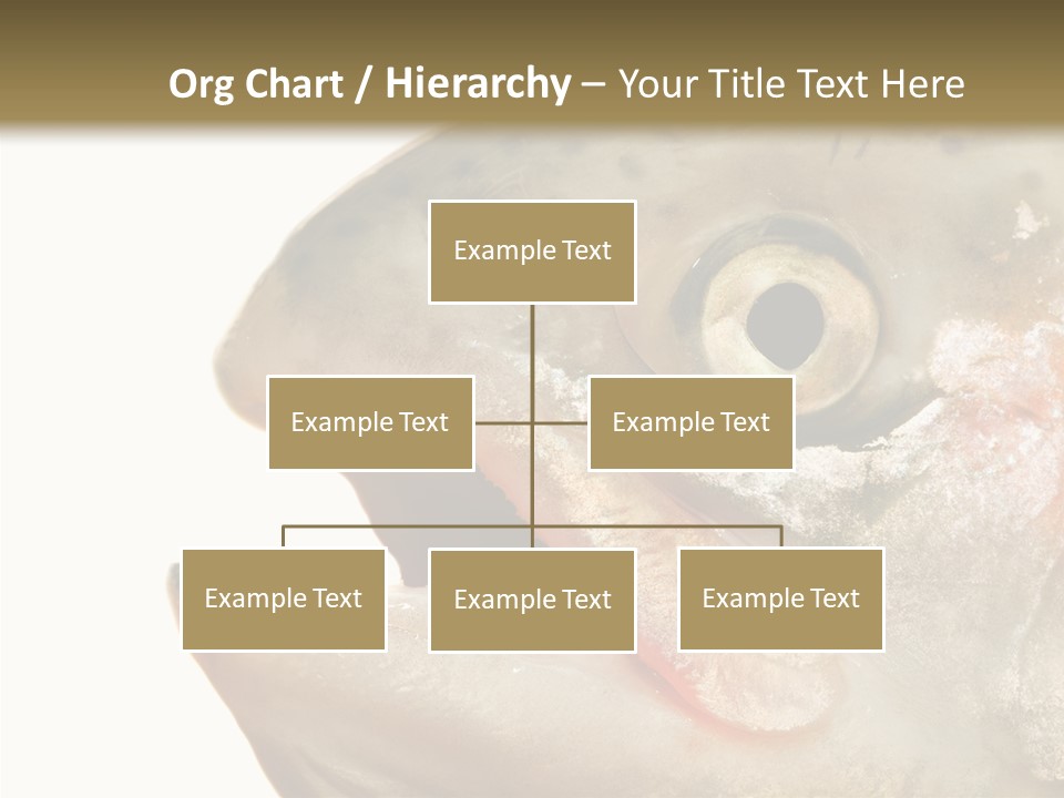 Nutrition Meat Fin PowerPoint Template