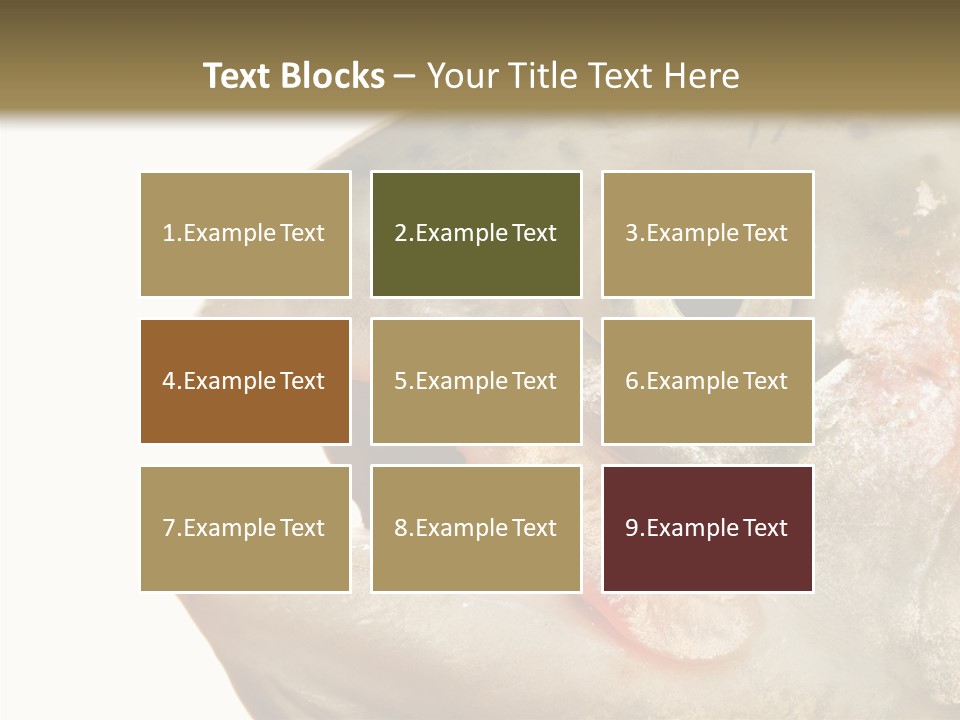 Nutrition Meat Fin PowerPoint Template