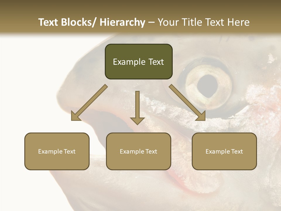 Nutrition Meat Fin PowerPoint Template