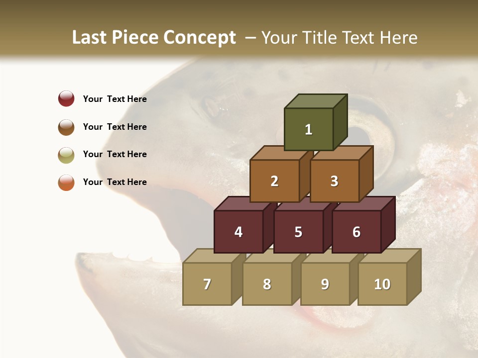 Nutrition Meat Fin PowerPoint Template