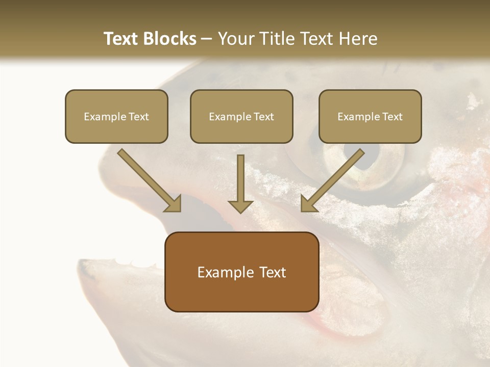 Nutrition Meat Fin PowerPoint Template