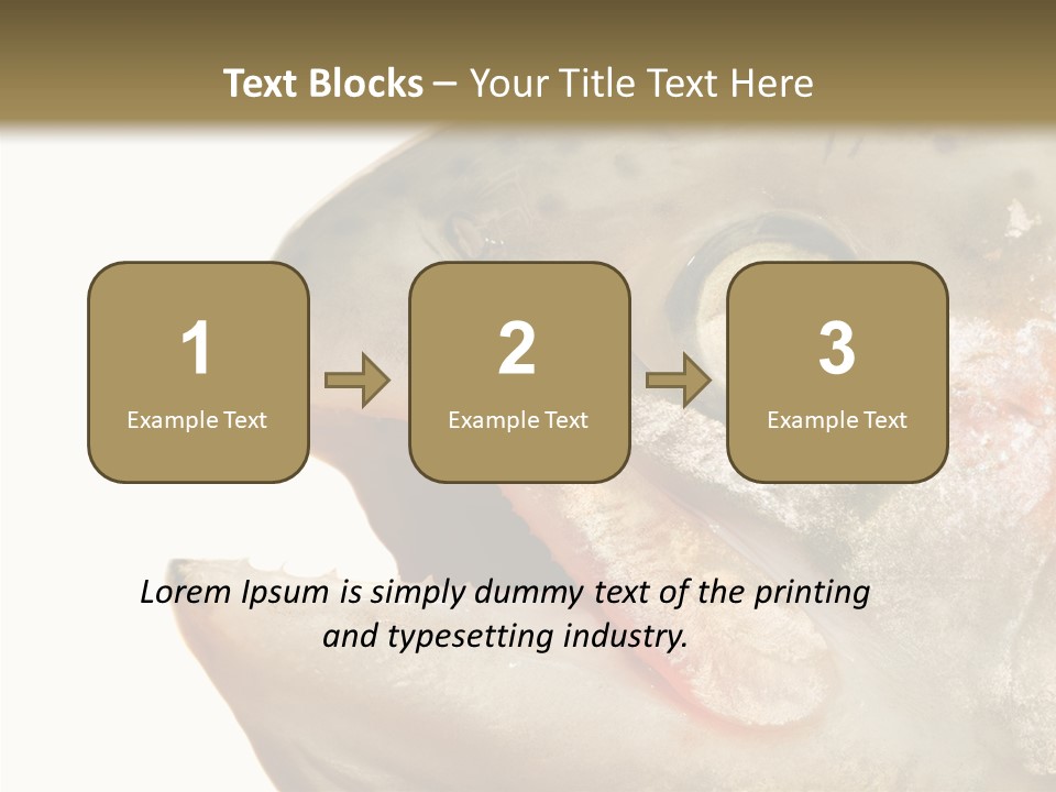 Nutrition Meat Fin PowerPoint Template