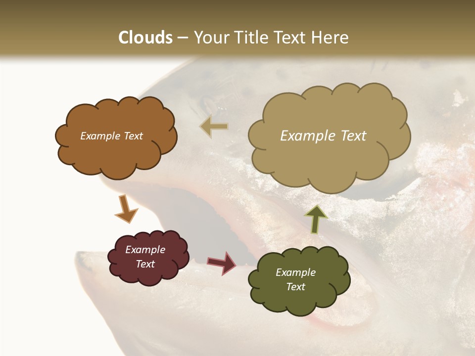 Nutrition Meat Fin PowerPoint Template