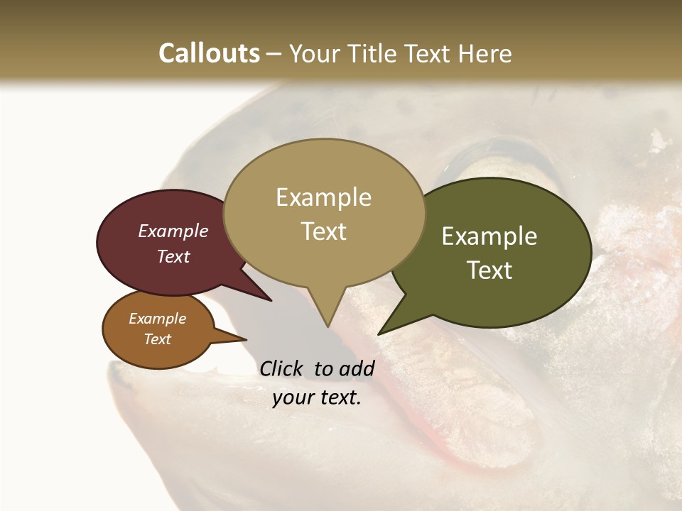 Nutrition Meat Fin PowerPoint Template