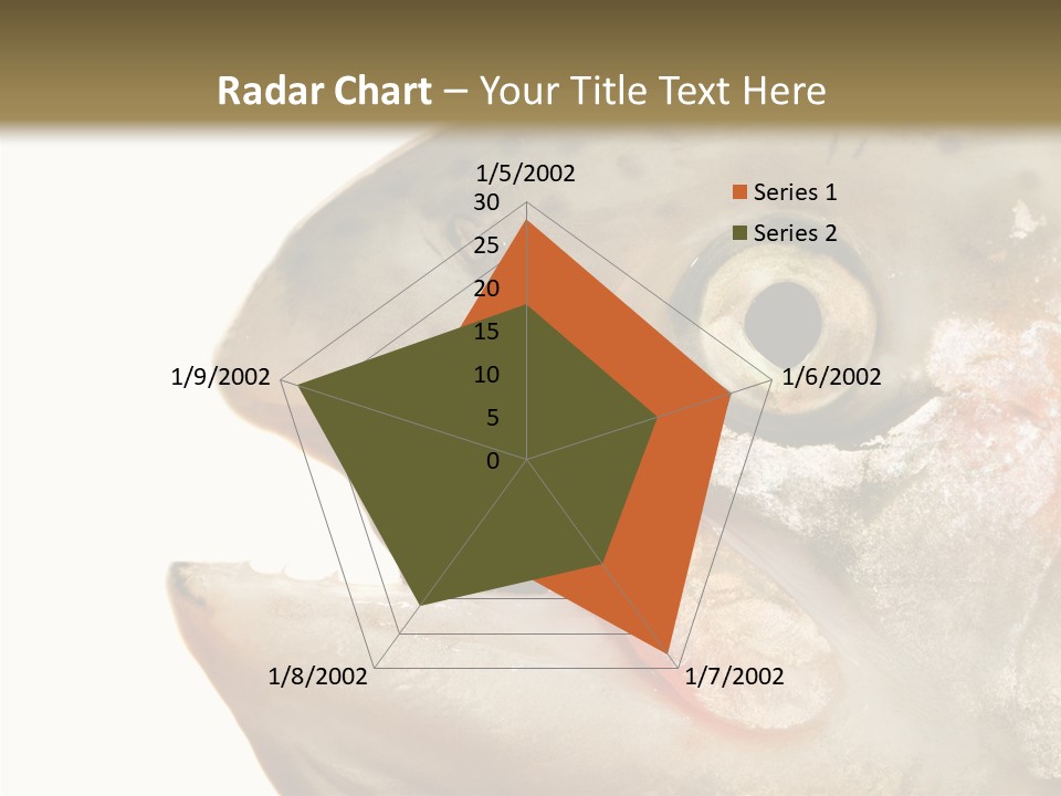 Nutrition Meat Fin PowerPoint Template