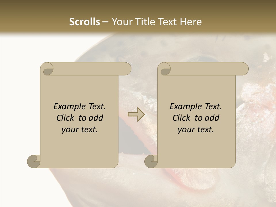 Nutrition Meat Fin PowerPoint Template
